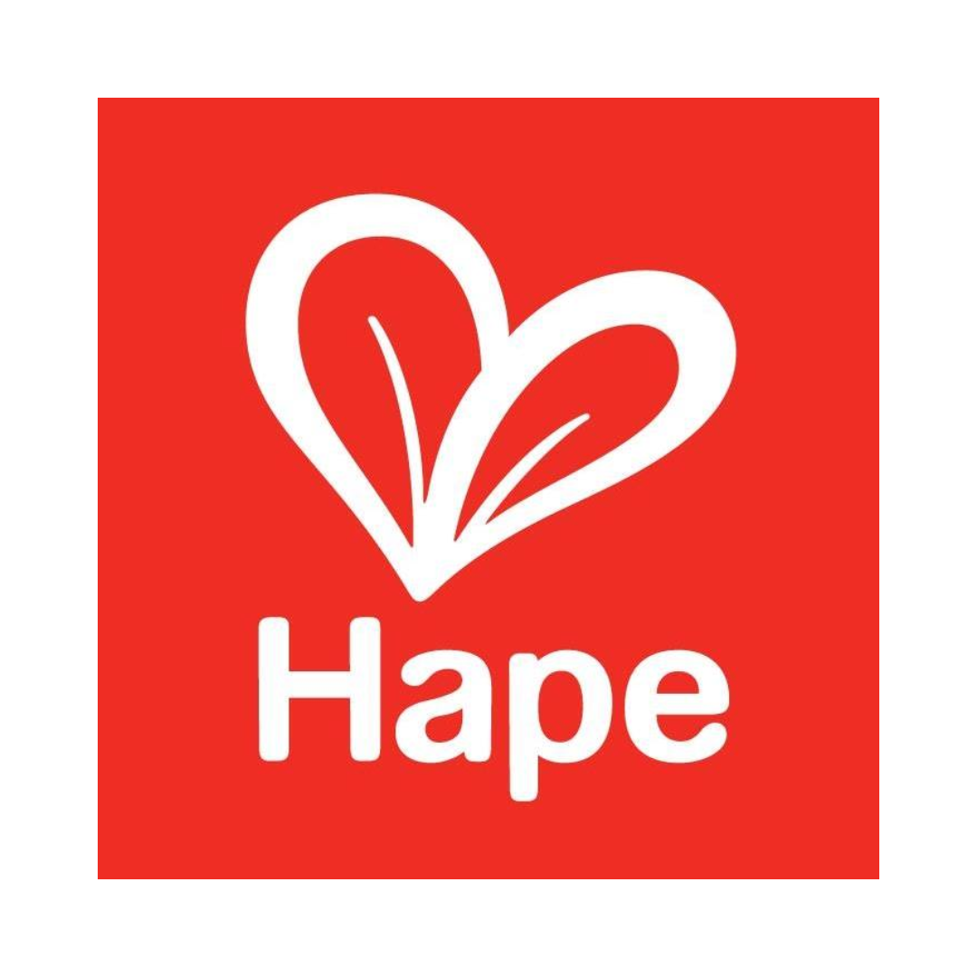 HAPE TOYS